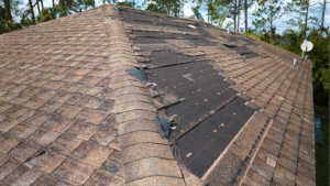 Damaged roof shingles needing repair.